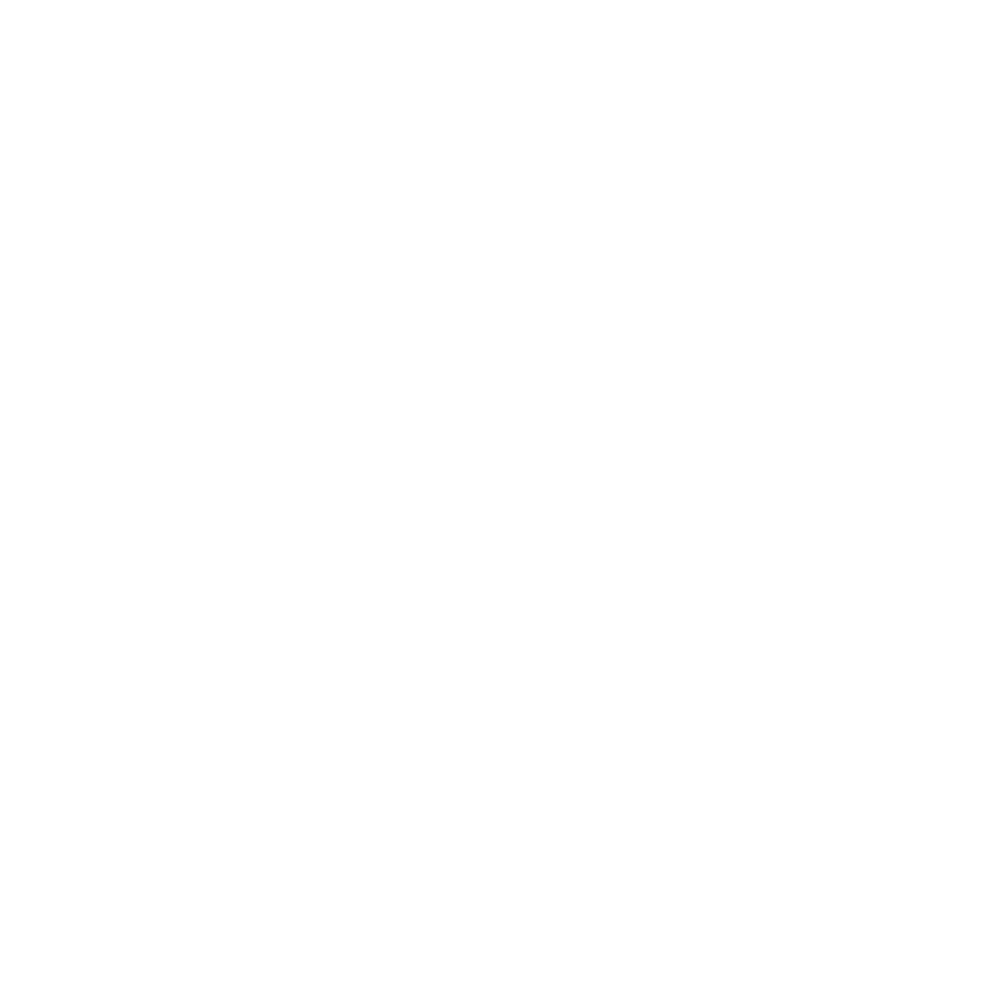 Alfieri Hair Craft Logo
